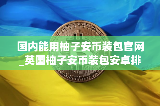 国内能用柚子安币装包官网_英国柚子安币装包安卓排行榜