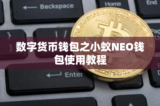 数字货币钱包之小蚁NEO钱包使用教程