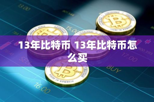 13年比特币 13年比特币怎么买