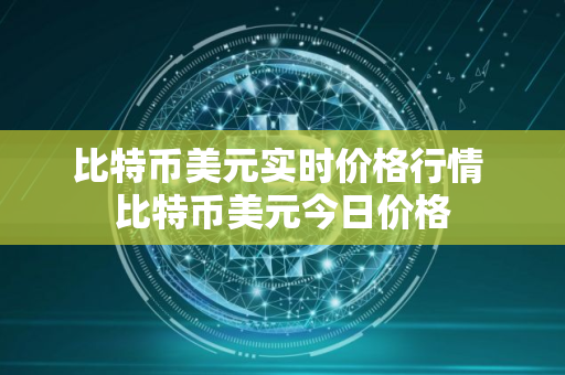 比特币美元实时价格行情 比特币美元今日价格