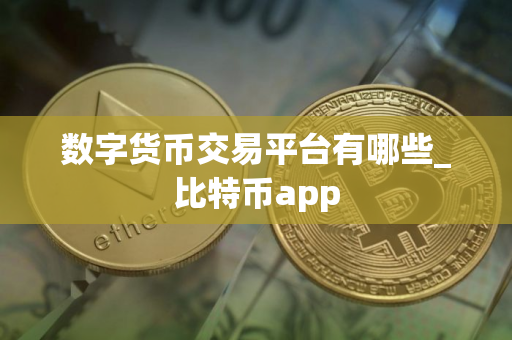 数字货币交易平台有哪些_比特币app