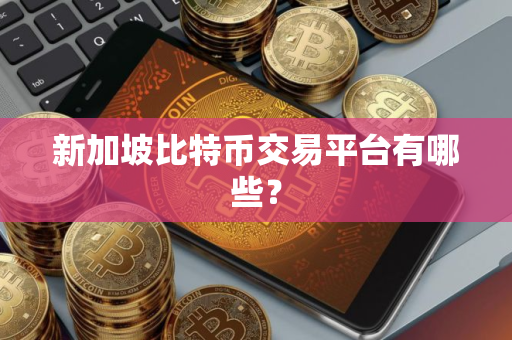 新加坡比特币交易平台有哪些？