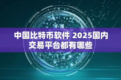 中国比特币软件 2025国内交易平台都有哪些