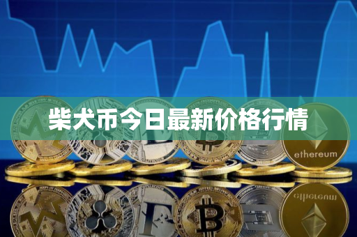 柴犬币今日最新价格行情