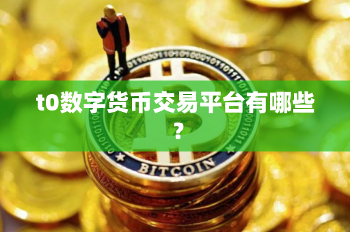 t0数字货币交易平台有哪些 ？