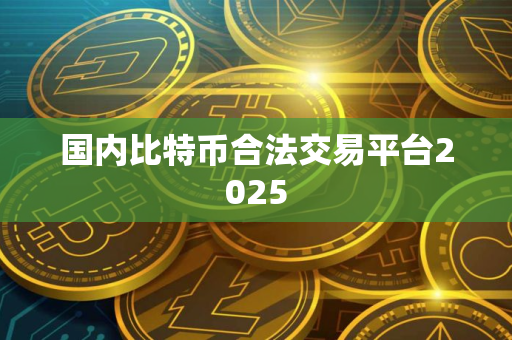 国内比特币合法交易平台2025