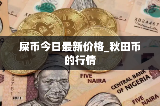 屎币今日最新价格_秋田币的行情
