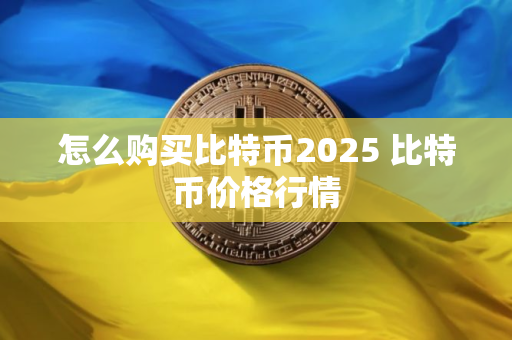 怎么购买比特币2025 比特币价格行情