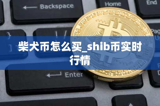 柴犬币怎么买_shib币实时行情