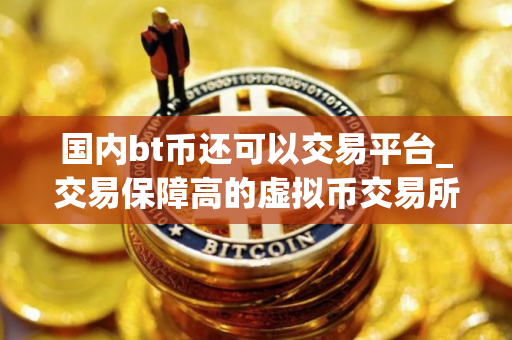 国内bt币还可以交易平台_交易保障高的虚拟币交易所榜单一览