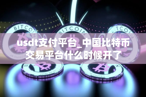usdt支付平台_中国比特币交易平台什么时候开了