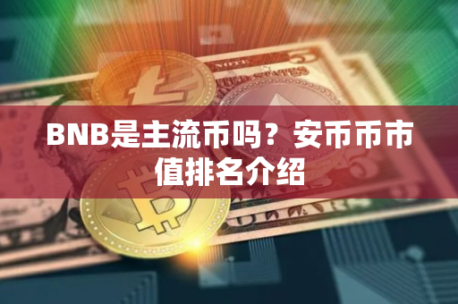 BNB是主流币吗？安币币市值排名介绍