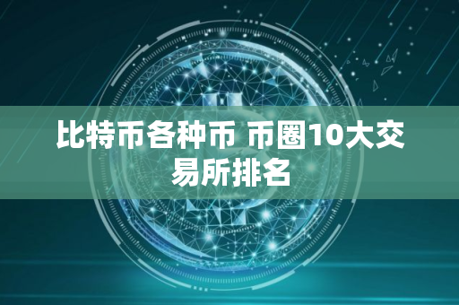 比特币各种币 币圈10大交易所排名