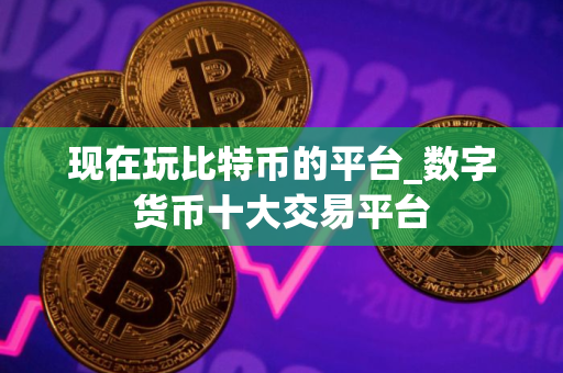 现在玩比特币的平台_数字货币十大交易平台