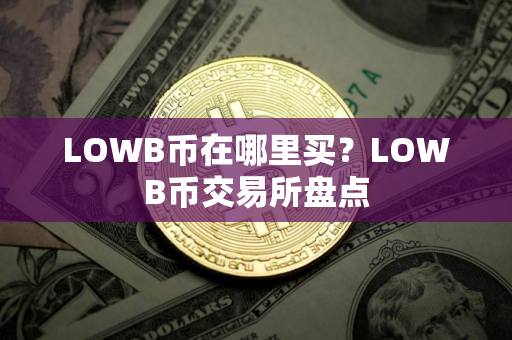 LOWB币在哪里买？LOWB币交易所盘点