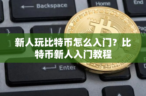新人玩比特币怎么入门？比特币新人入门教程