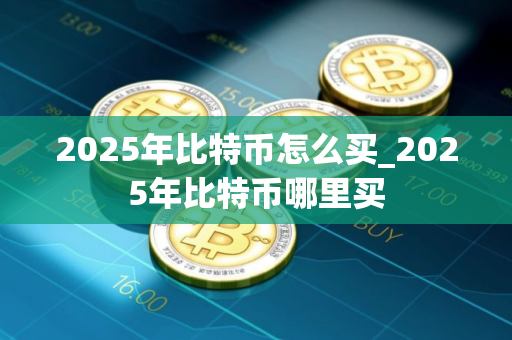 2025年比特币怎么买_2025年比特币哪里买