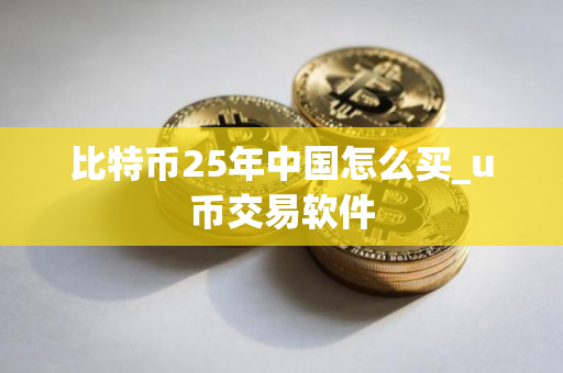 比特币25年中国怎么买_u币交易软件