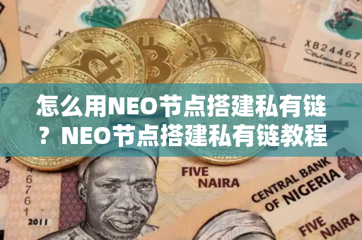 怎么用NEO节点搭建私有链？NEO节点搭建私有链教程