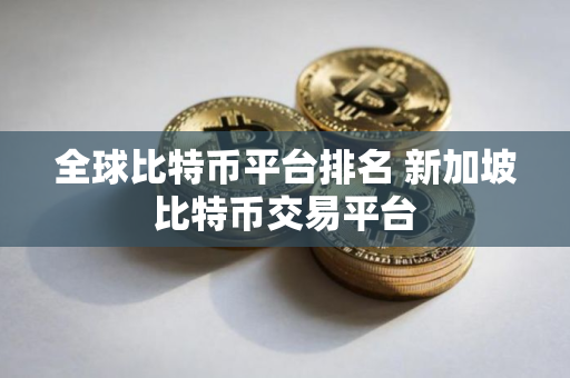 全球比特币平台排名 新加坡比特币交易平台