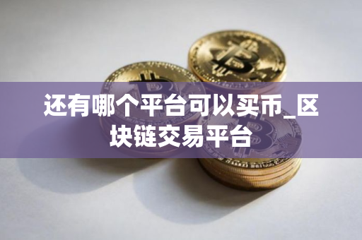还有哪个平台可以买币_区块链交易平台