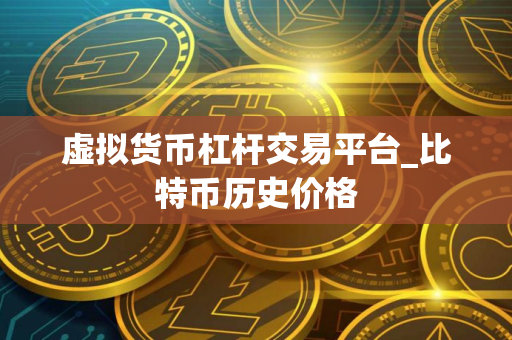 虚拟货币杠杆交易平台_比特币历史价格