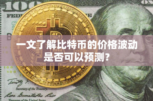 一文了解比特币的价格波动是否可以预测？