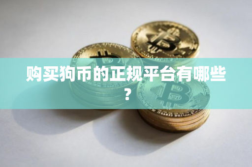 购买狗币的正规平台有哪些? 购买狗币的正规平台有哪些?