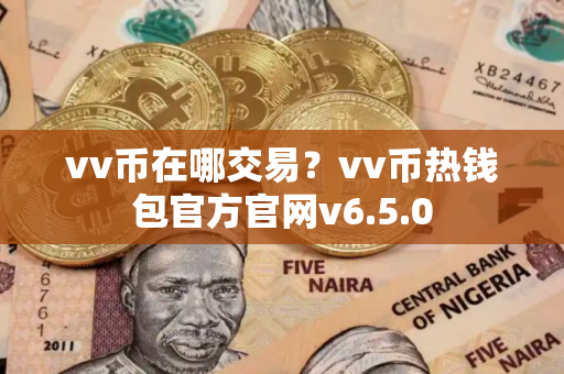 vv币在哪交易？vv币热钱包官方官网v6.5.0