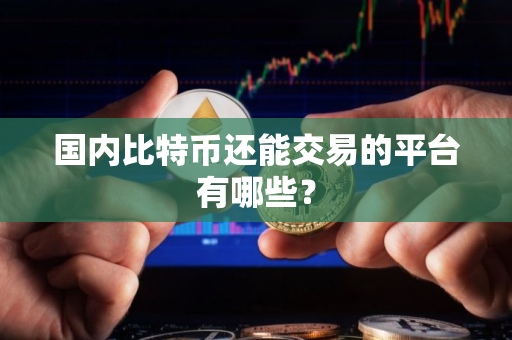 国内比特币还能交易的平台有哪些？