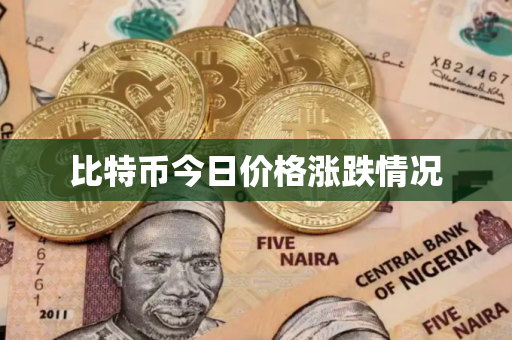 比特币今日价格涨跌情况
