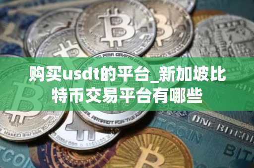 购买usdt的平台_新加坡比特币交易平台有哪些