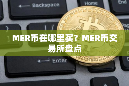MER币在哪里买？MER币交易所盘点