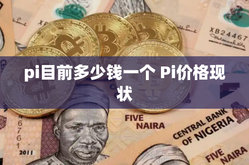 pi目前多少钱一个 Pi价格现状