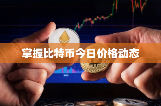 掌握比特币今日价格动态
