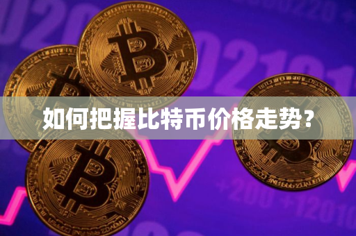 如何把握比特币价格走势？