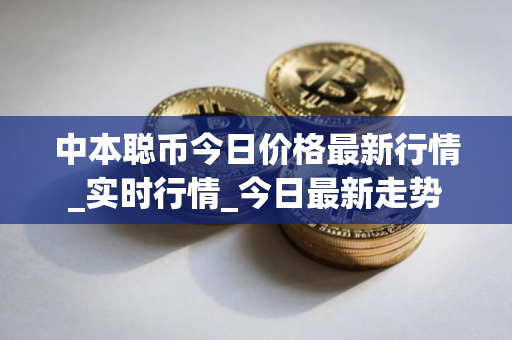 中本聪币今日价格最新行情_实时行情_今日最新走势 中本聪币今日价格最新行情_实时行情_今日最新走势