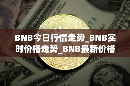 BNB今日行情走势_BNB实时价格走势_BNB最新价格