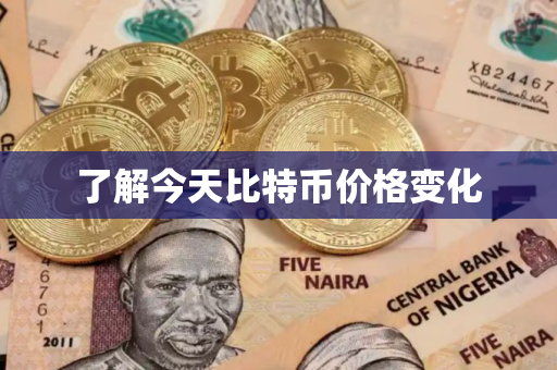 了解今天比特币价格变化