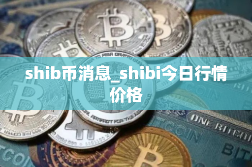 shib币消息_shibi今日行情价格