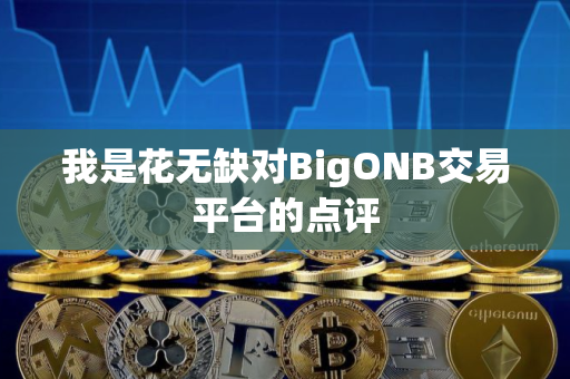 我是花无缺对BigONB交易平台的点评