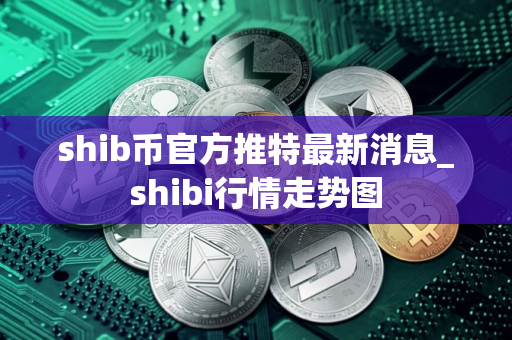 shib币官方推特最新消息_shibi行情走势图
