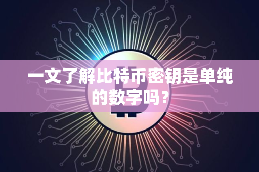 一文了解比特币密钥是单纯的数字吗？
