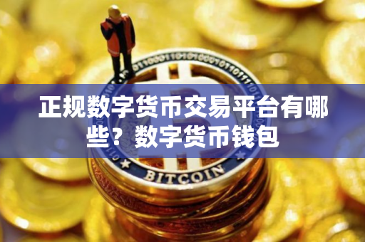 正规数字货币交易平台有哪些？数字货币钱包