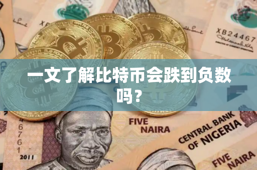 一文了解比特币会跌到负数吗？
