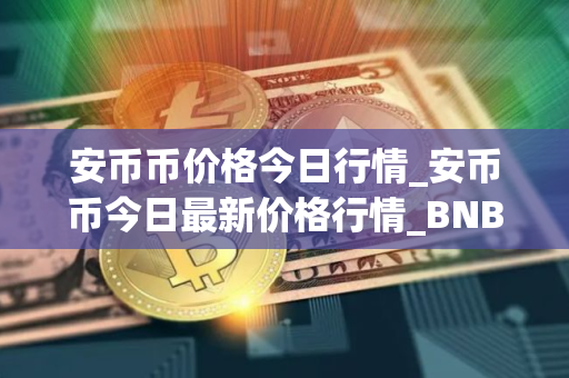 安币币价格今日行情_安币币今日最新价格行情_BNB价格