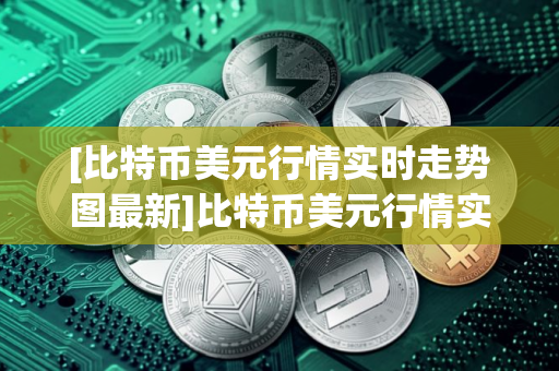 [比特币美元行情实时走势图最新]比特币美元行情实时走势图最新版