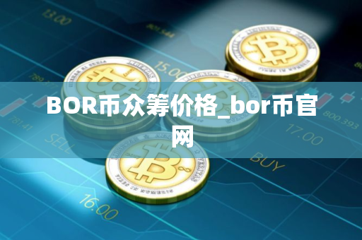 BOR币众筹价格_bor币官网