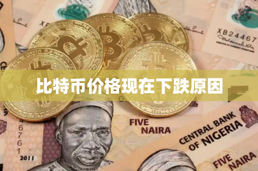 比特币价格现在下跌原因