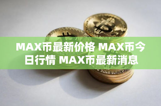 MAX币最新价格 MAX币今日行情 MAX币最新消息